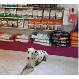 pet shop para cachorro Vila Ipojuca